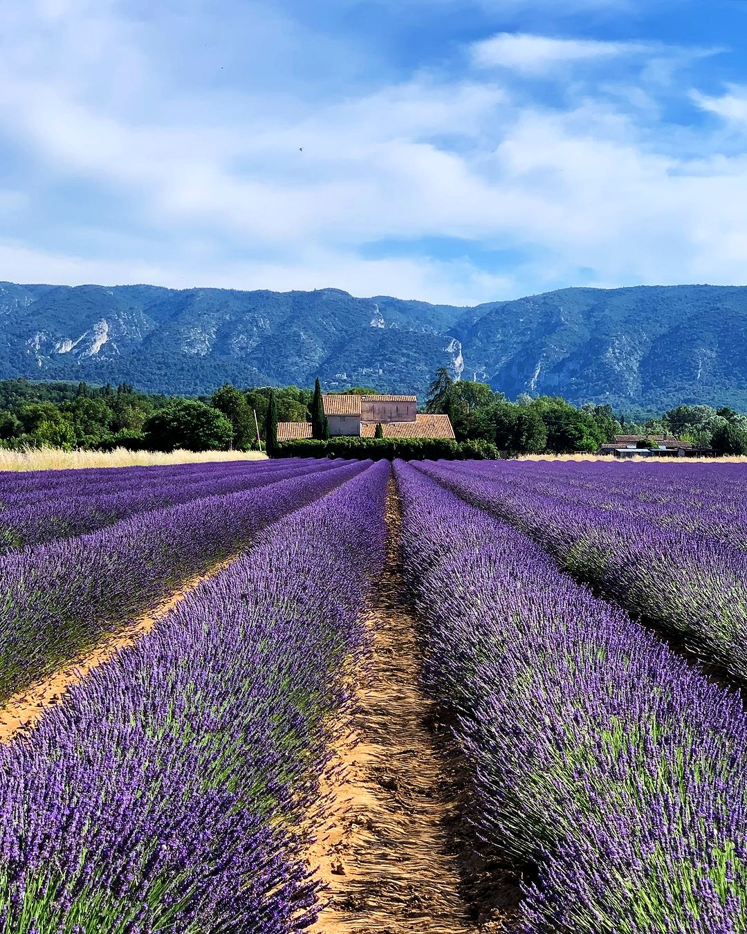 Provence captions