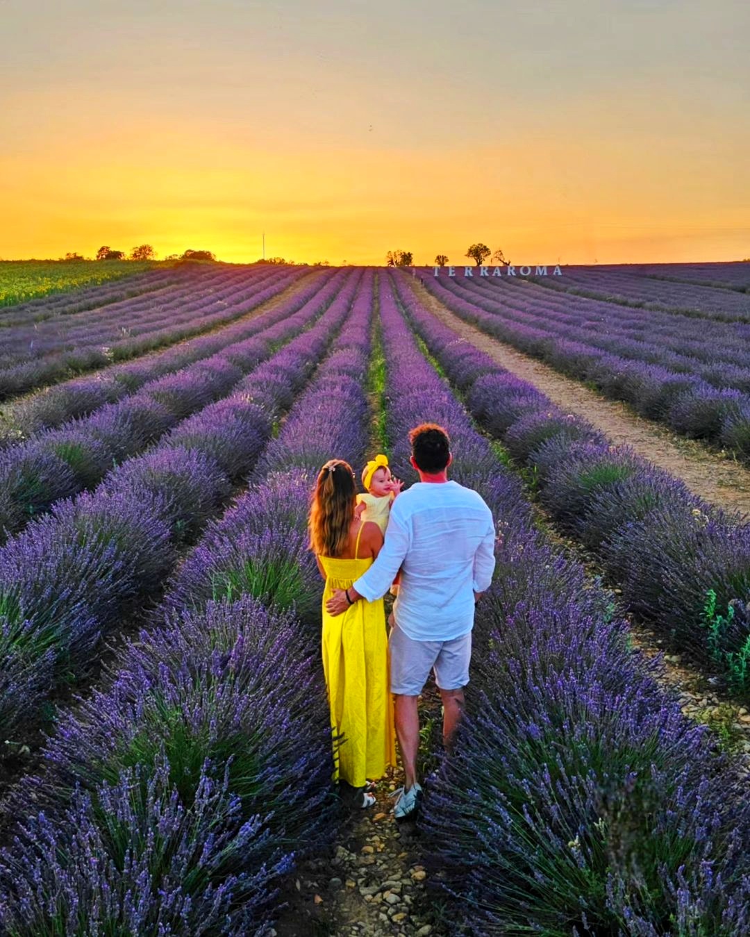 Romantic Provence captions